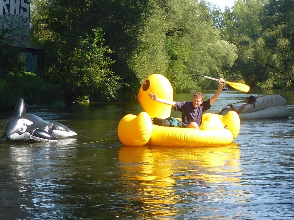 Geheilte Ente auf der Saale